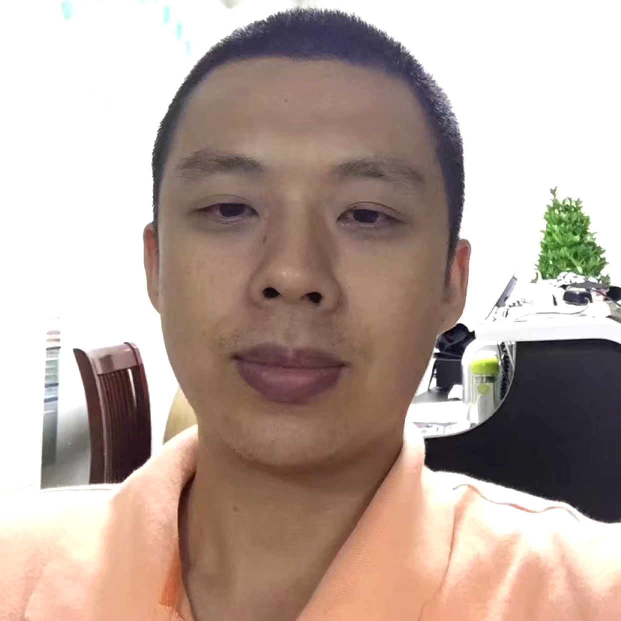 文艺回眸芹菜的照片