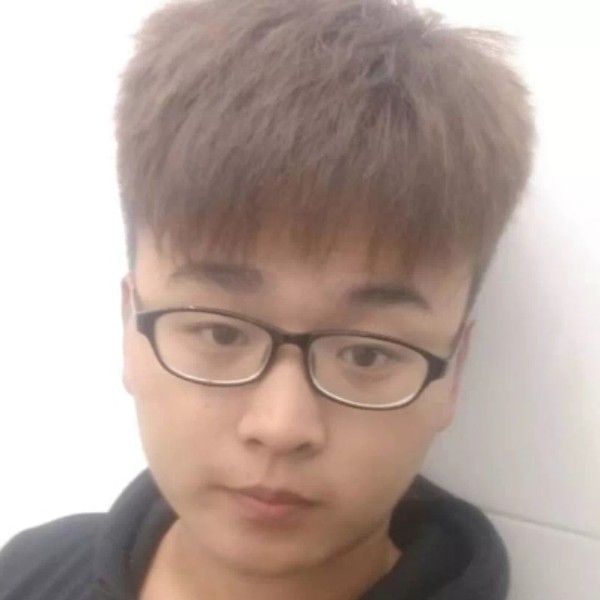小泰迪的照片