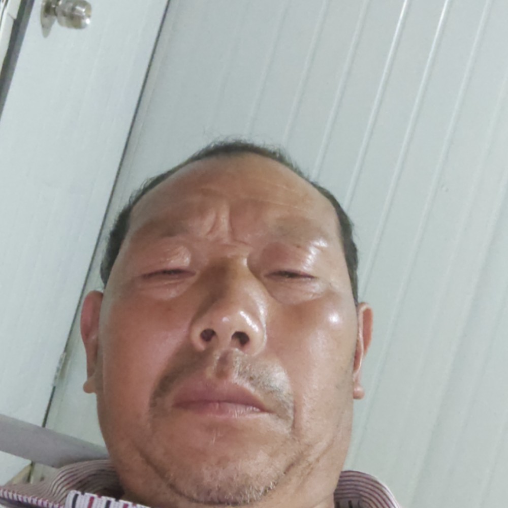 刺猬向贪玩的照片