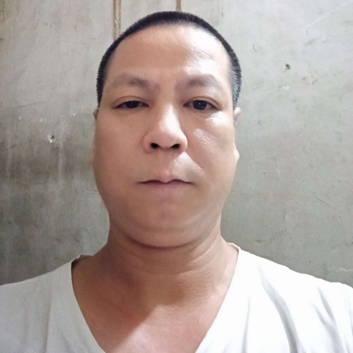 傲娇蹁跹小海豚的照片