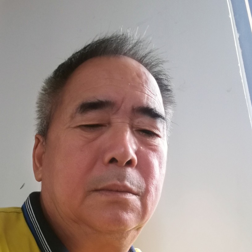 大树停止要减肥的照片
