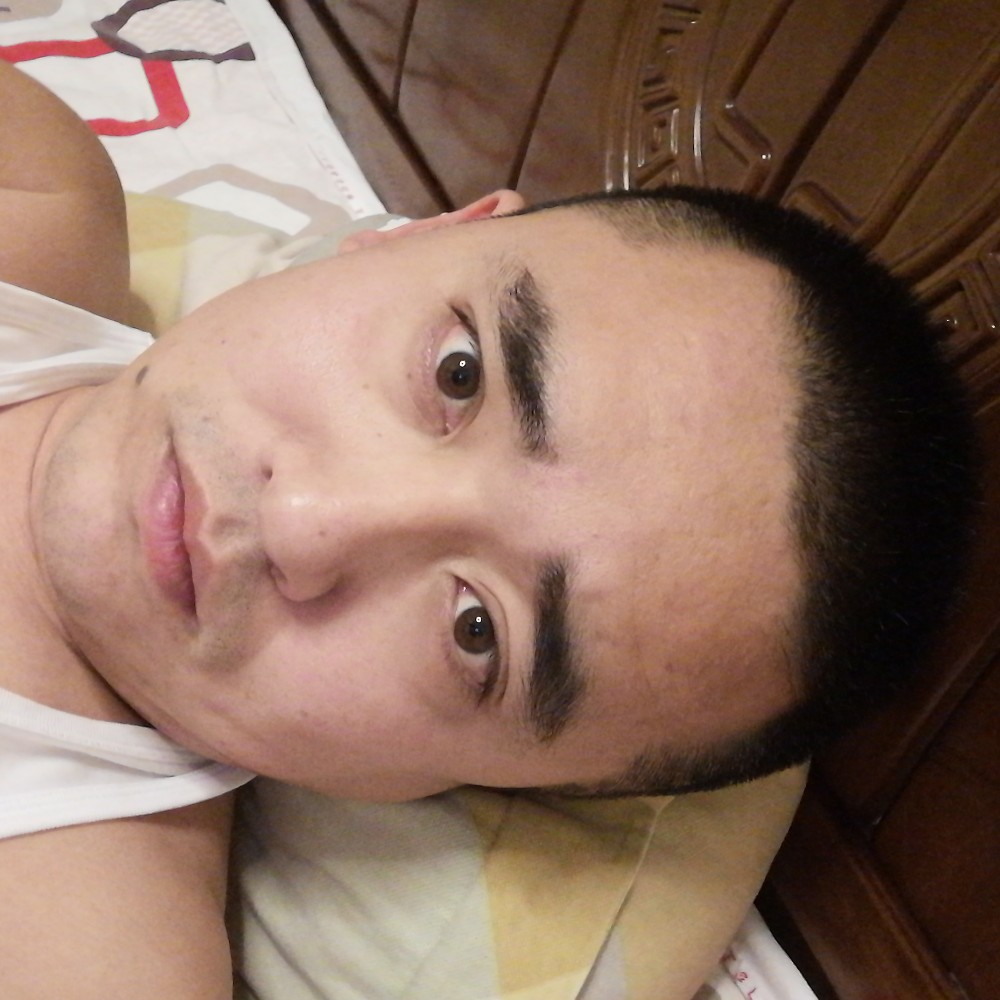 阳光等待小鸭子的照片