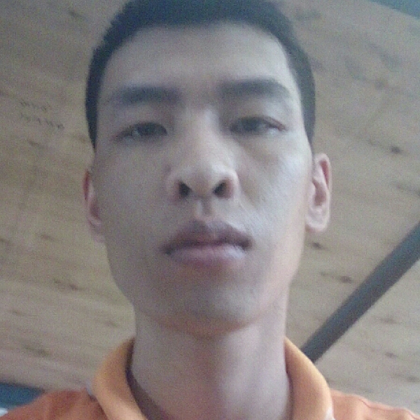 孤独之独狼的照片