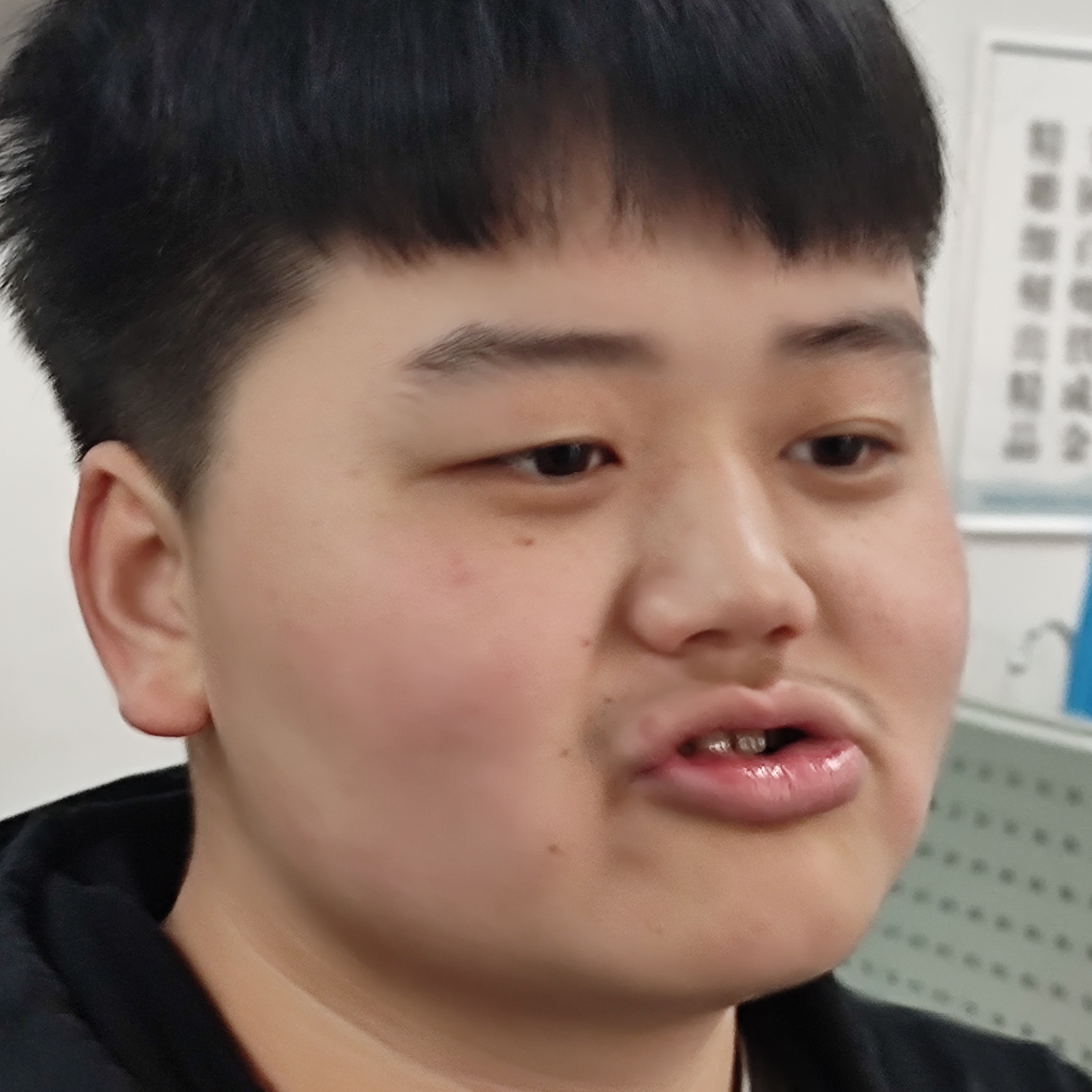 乌拉拉，，的照片