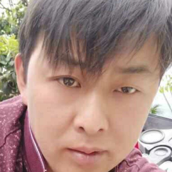 枫叶的照片