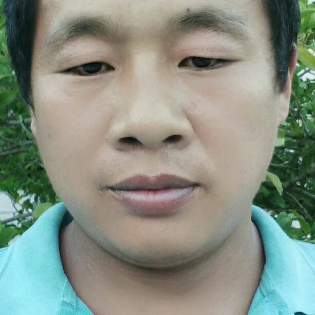 贪玩晨阳的照片
