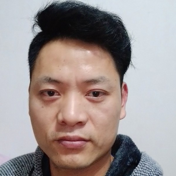 豌豆含蓄的照片