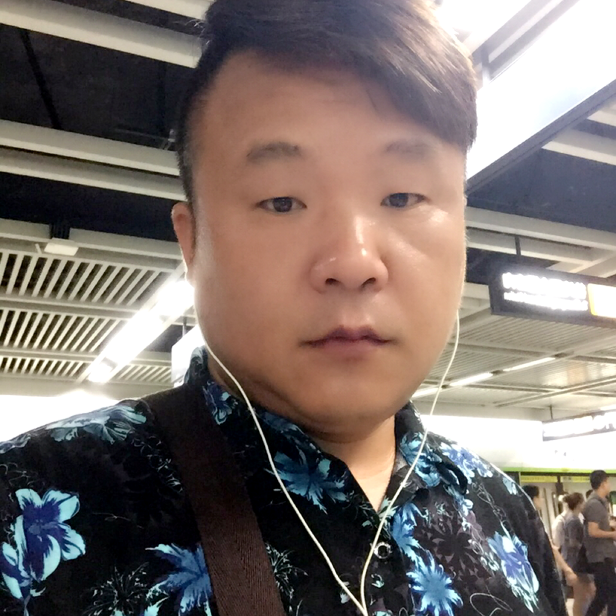 淡然和纸鹤的照片