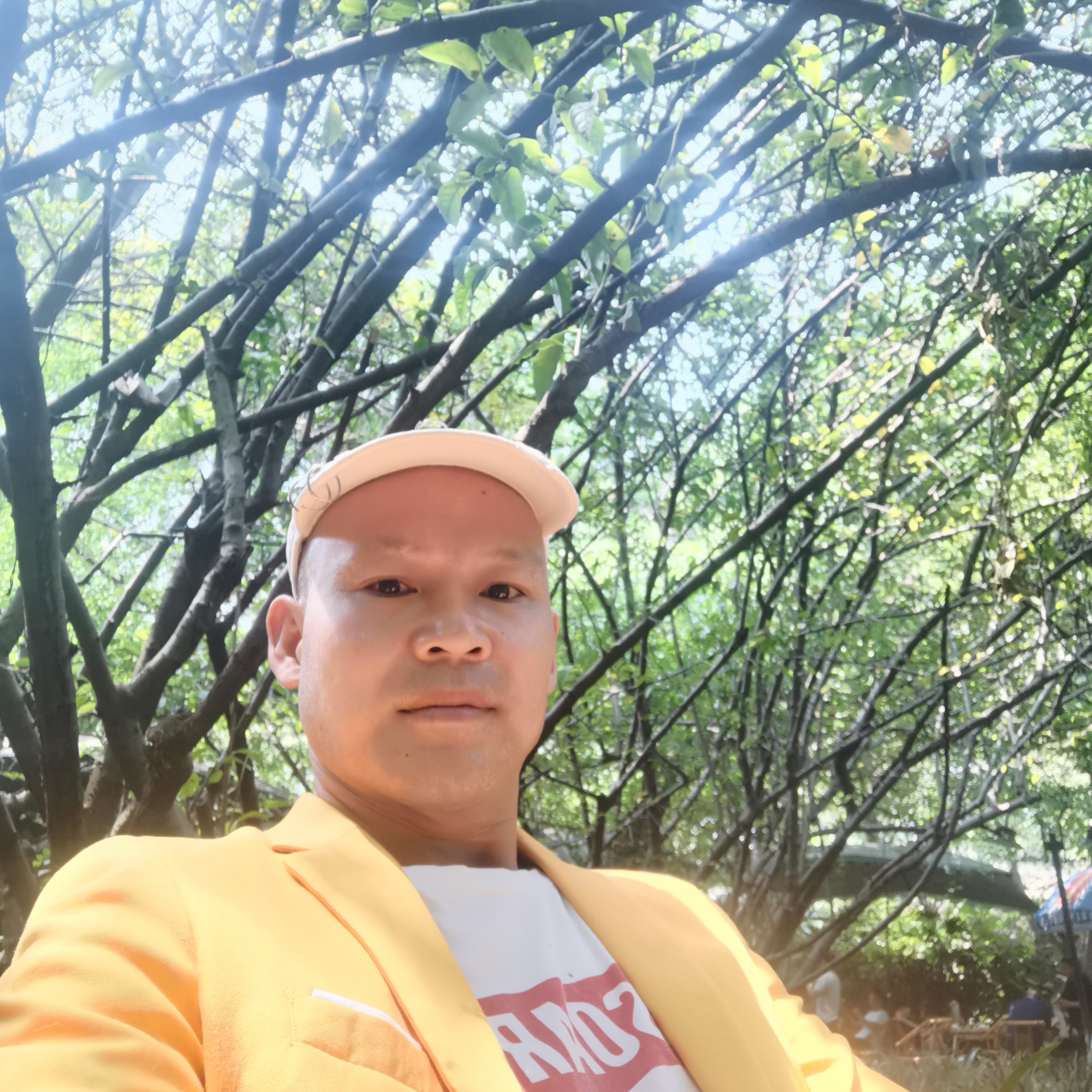 淡然的酸奶的照片