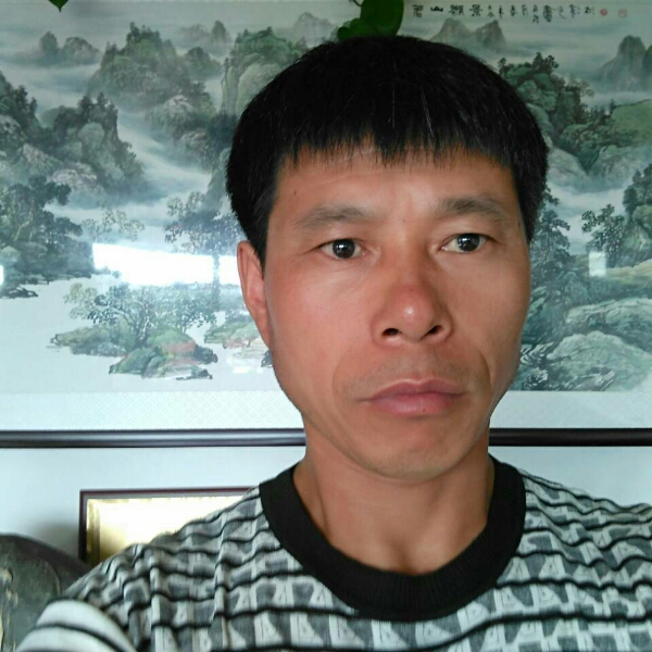 独自一人到哪生存的照片