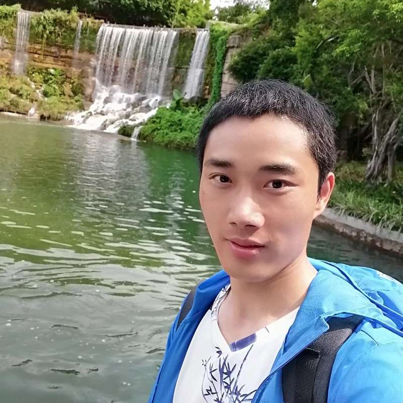 踏实放弃小蝴蝶的照片