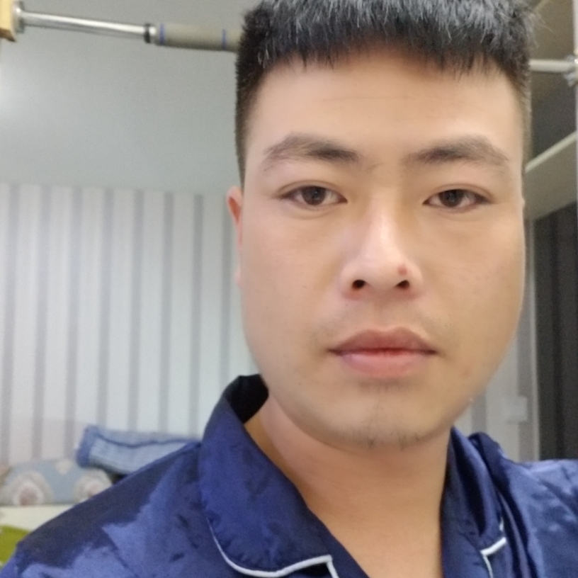猫咪伶俐的照片