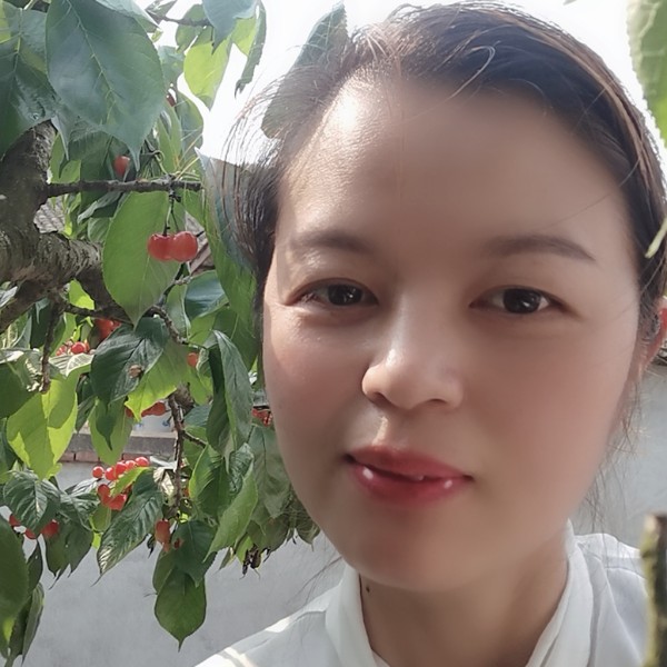 情话倾心单身的照片