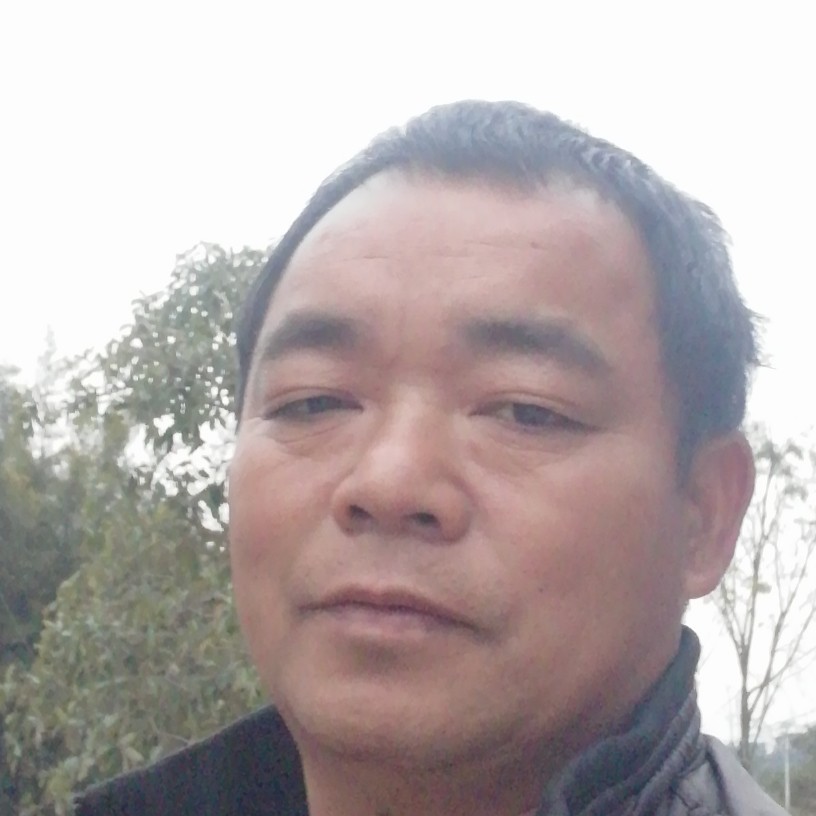 六六大顺。的照片