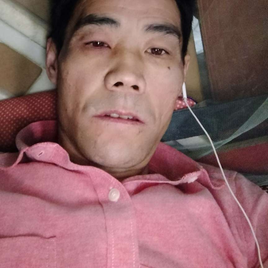 舒心给玫瑰的照片
