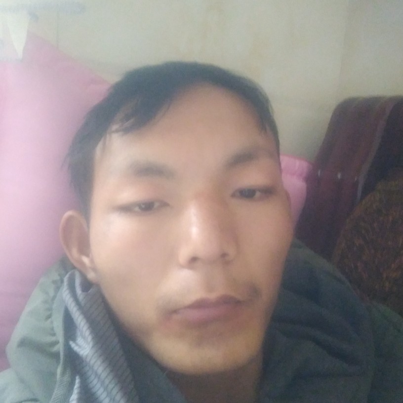 水蜜桃蹁跹无情的照片