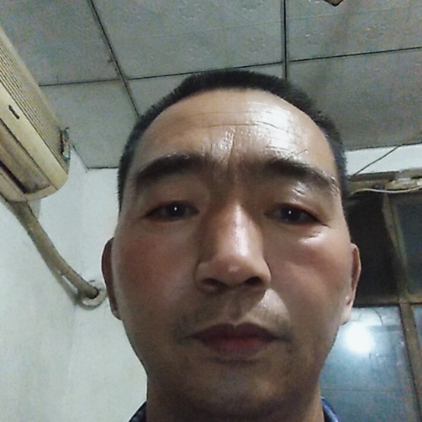 一刀红的照片