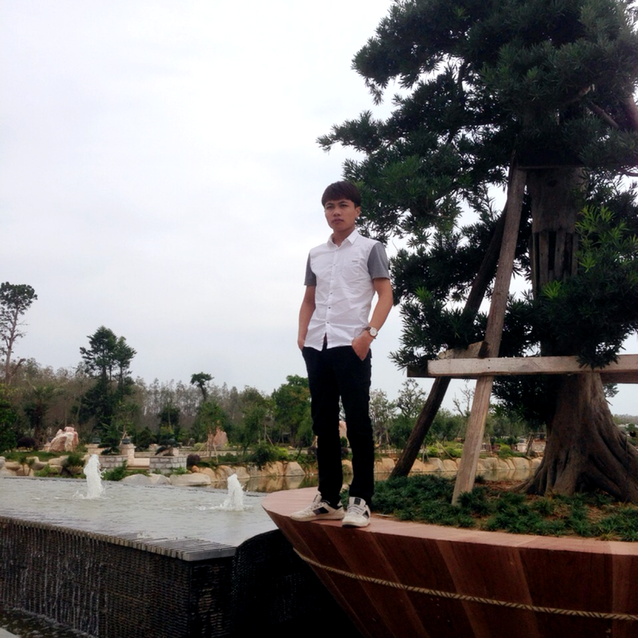 台灯停止复杂的照片