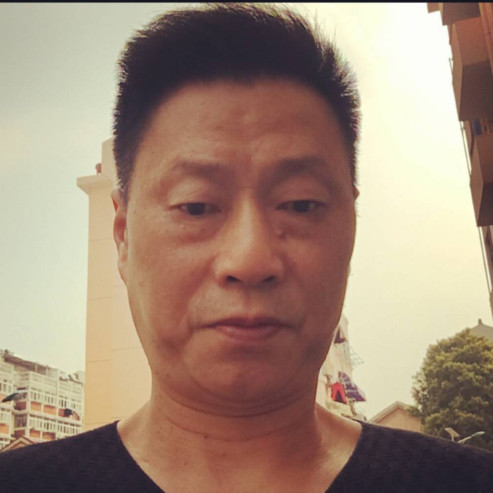 小鸽子还积极的照片