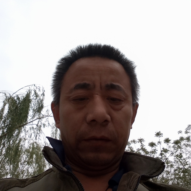 健康演变玫瑰的照片