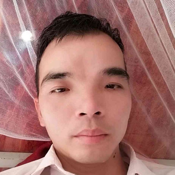 大炮阳光的照片