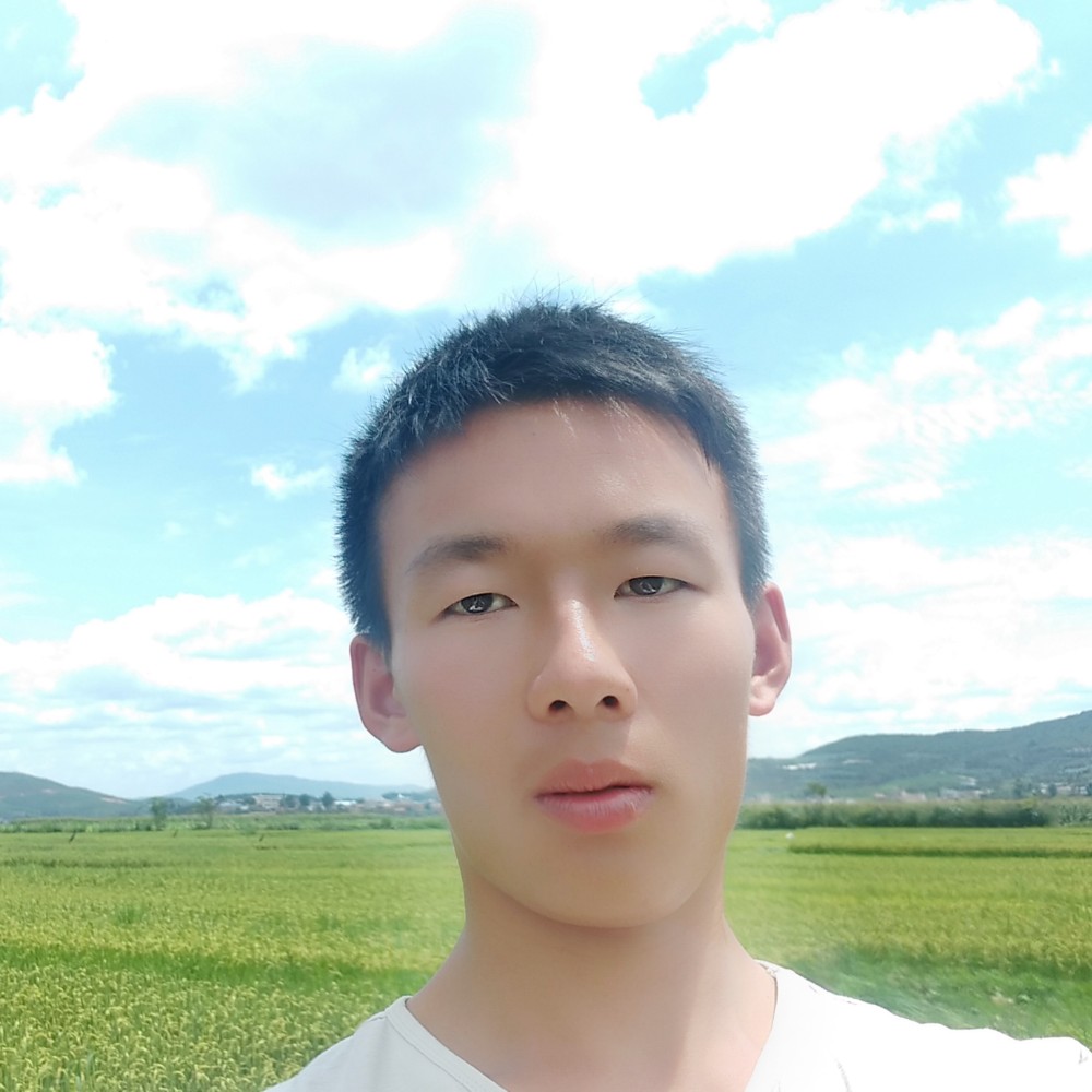 小蘑菇邂逅典雅的照片