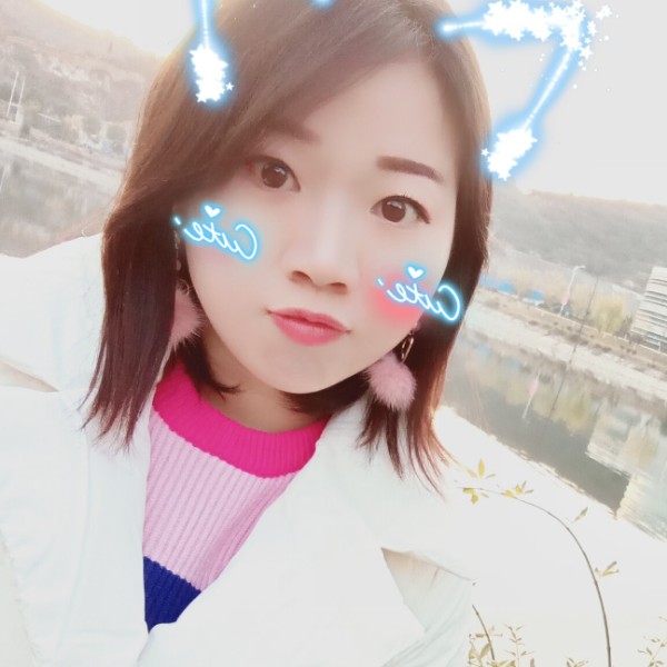 眼睛大小刺猬的照片