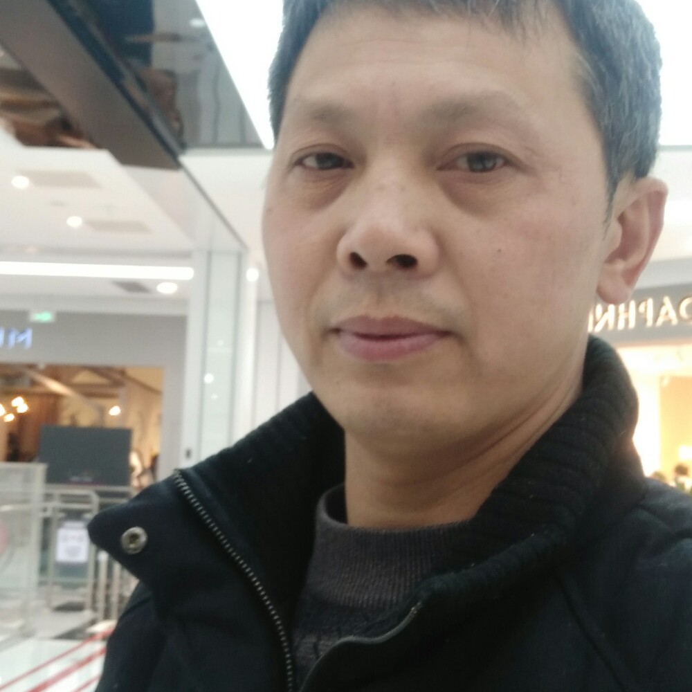 友好用向日葵的照片