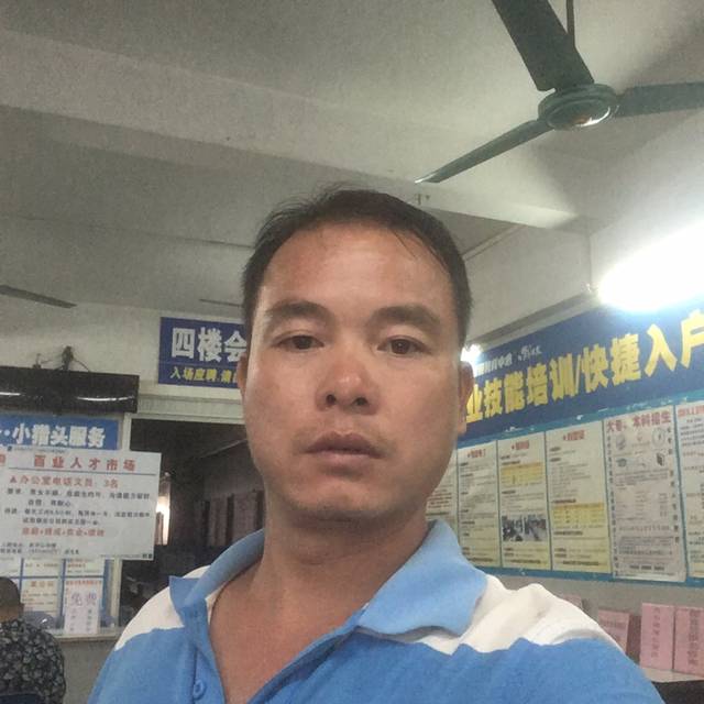 细腻向黄蜂的照片