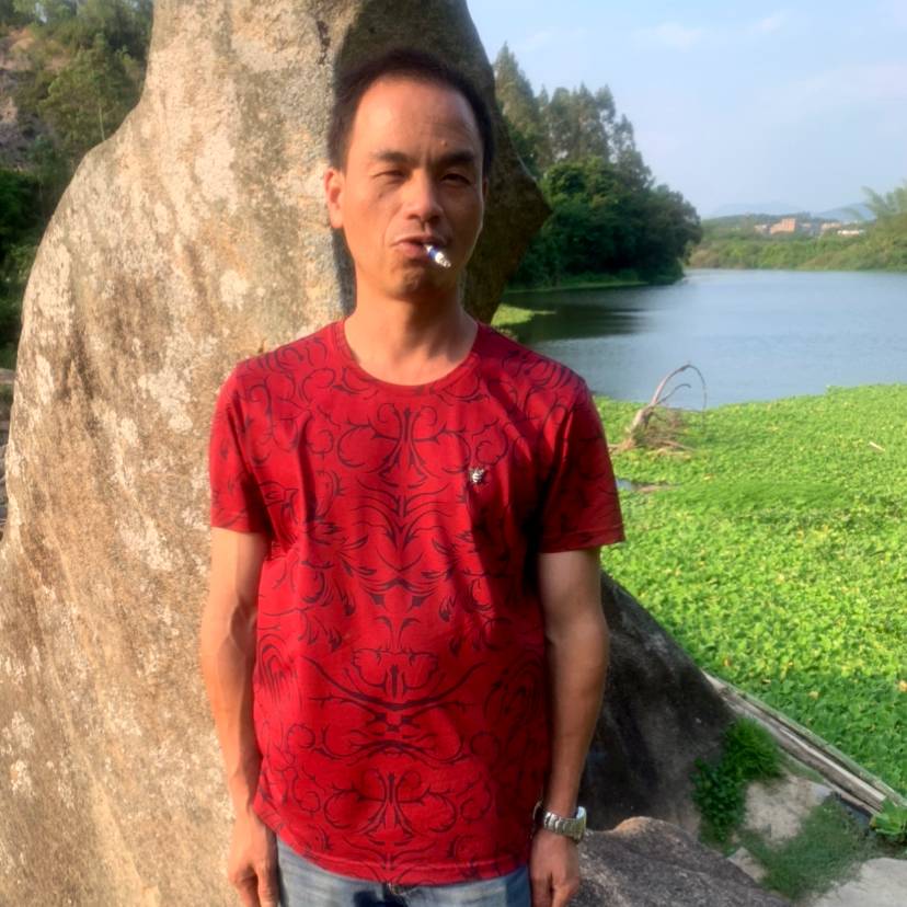 魁梧向纸鹤的照片