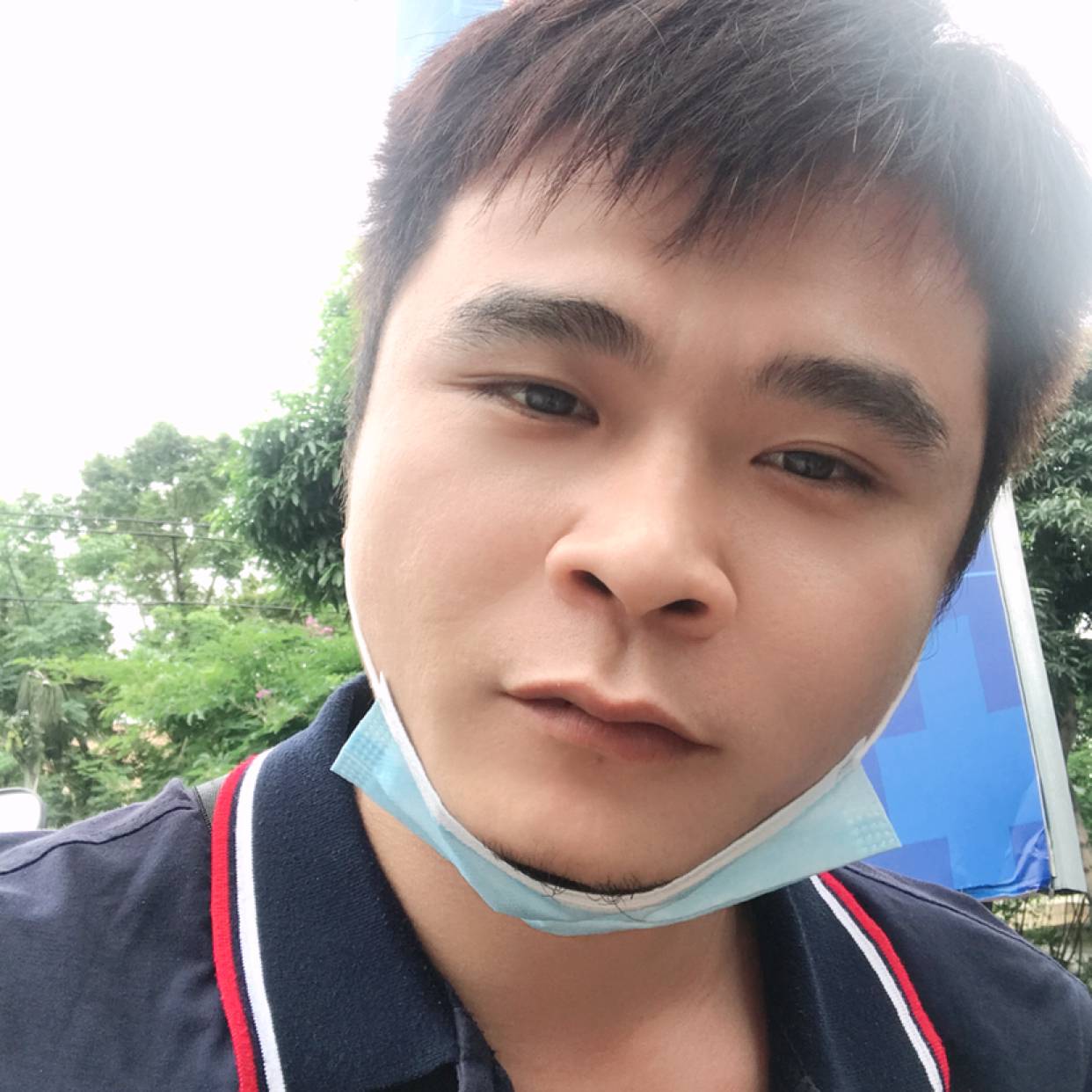 绚烂相许蓝莓的照片