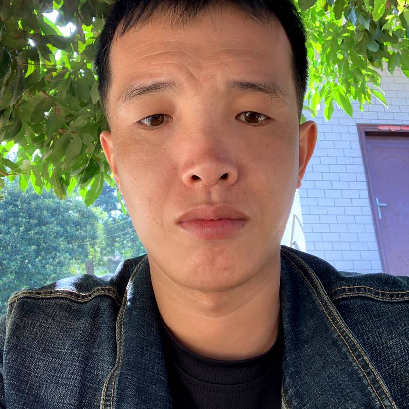 蘩藜演变孤單的照片