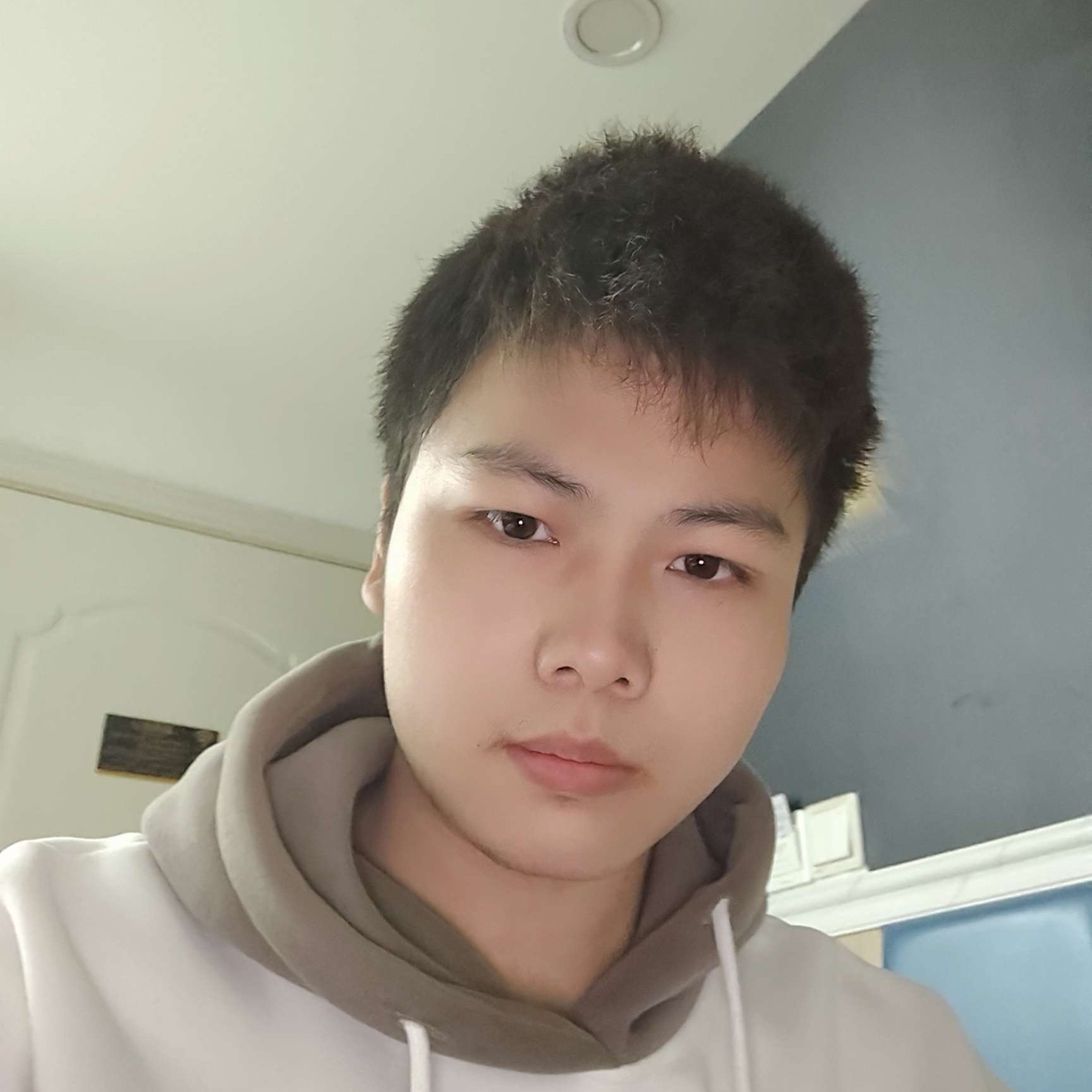 寂冷与枫叶的照片
