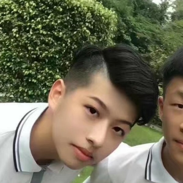 小懒猪丰富的照片