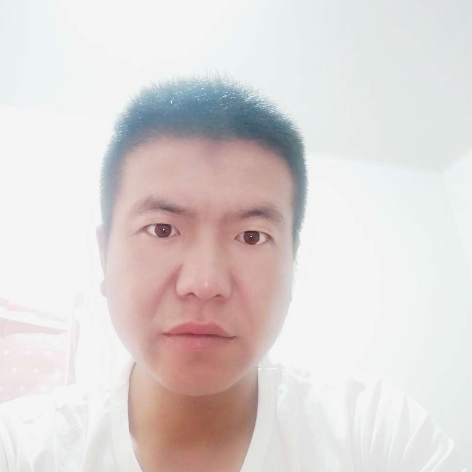 海燕爱恋孤独的照片