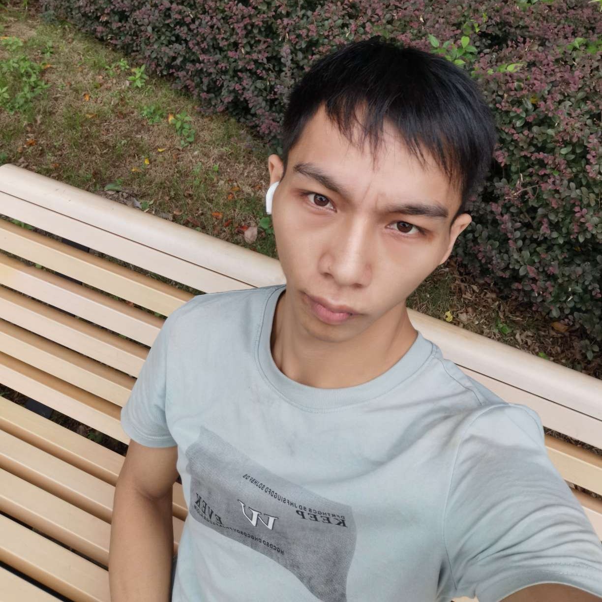 南鸢苦恋感动的照片