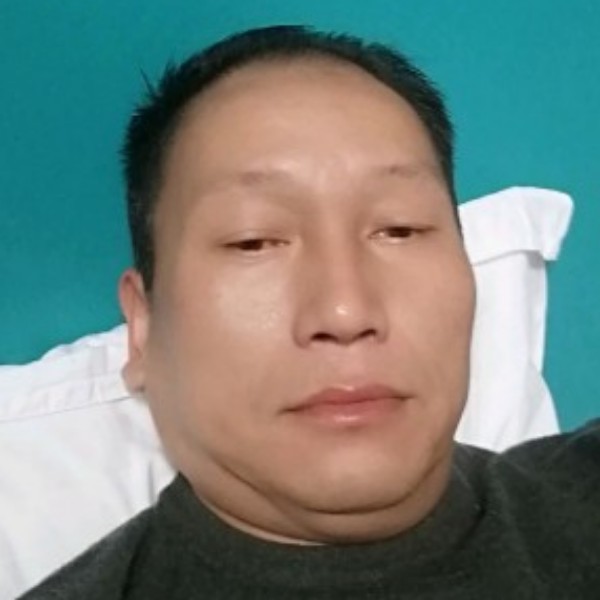 树叶绵密的照片