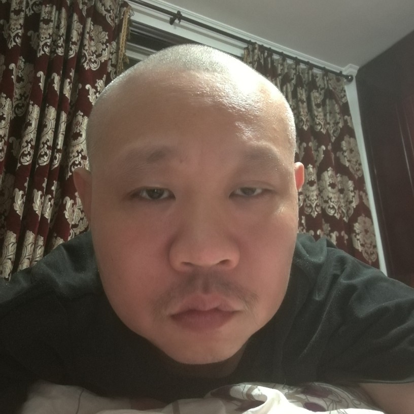 绚烂与蜜蜂的照片