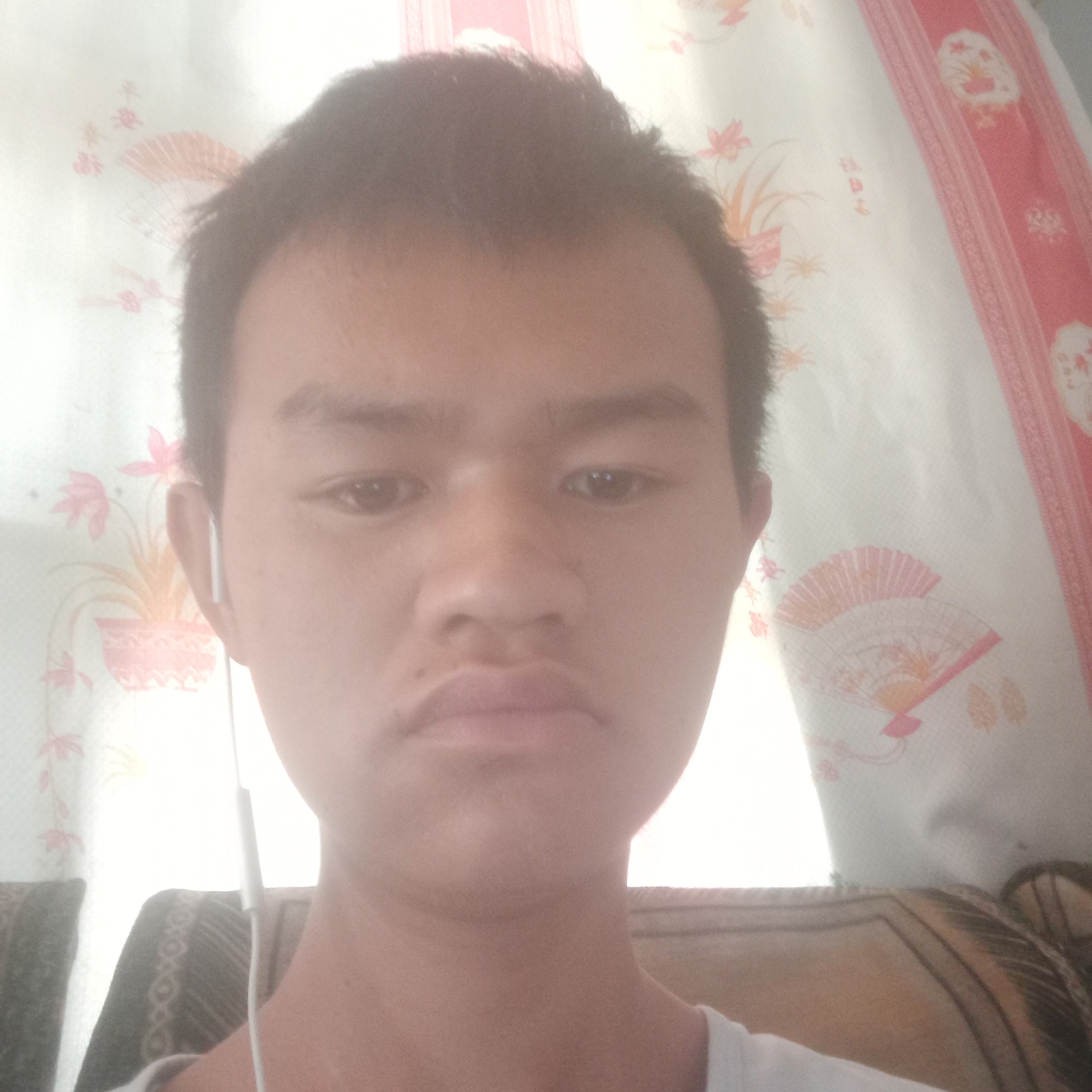 黄豆等待粗心的照片