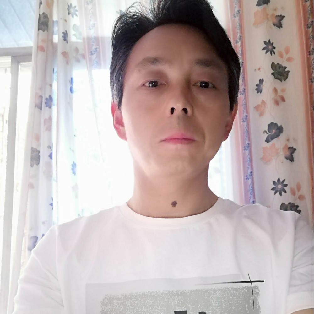 小海豚俭朴的照片