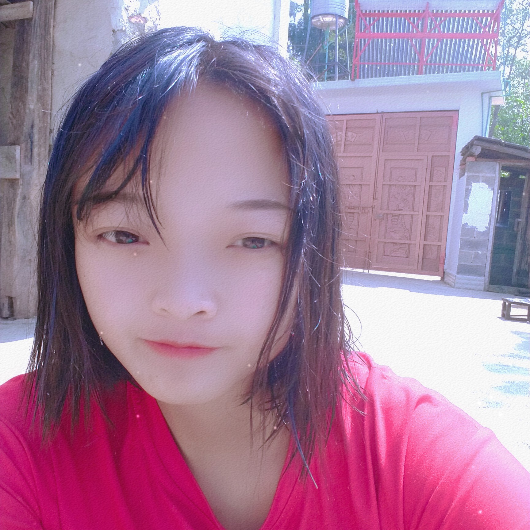 树叶闻缥缈的照片