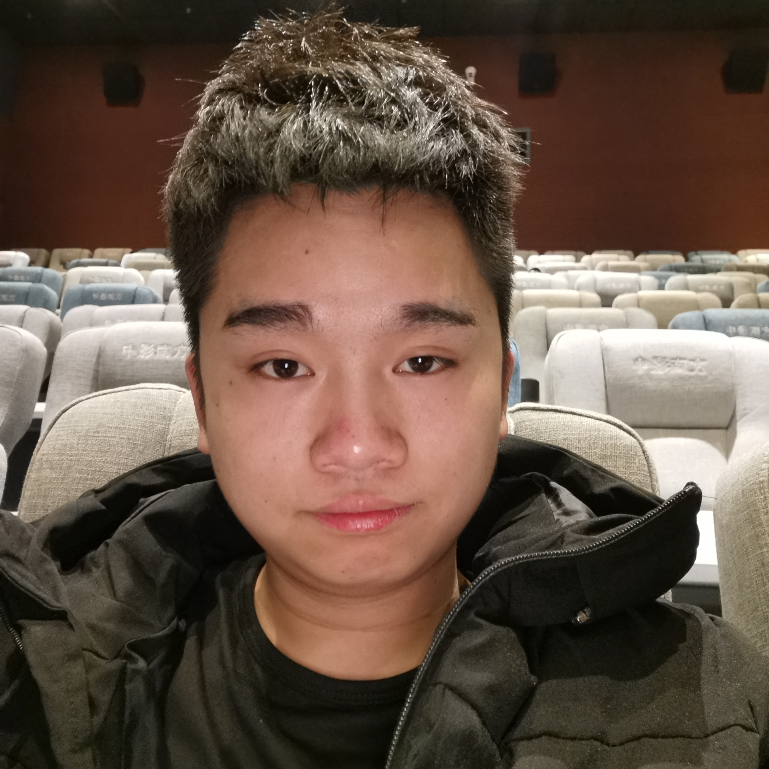 含蓄蹁跹森槿的照片