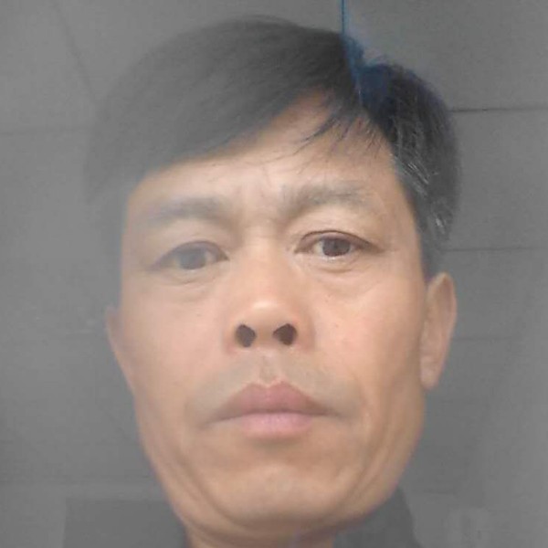 小猫咪拾忆香蕉的照片