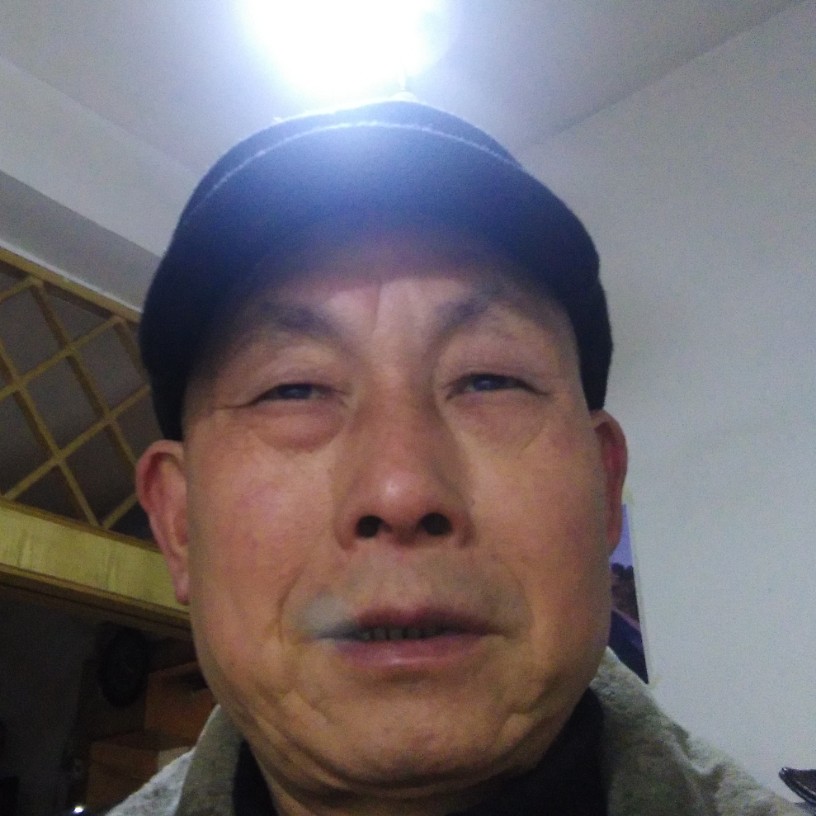 淡然高山的照片