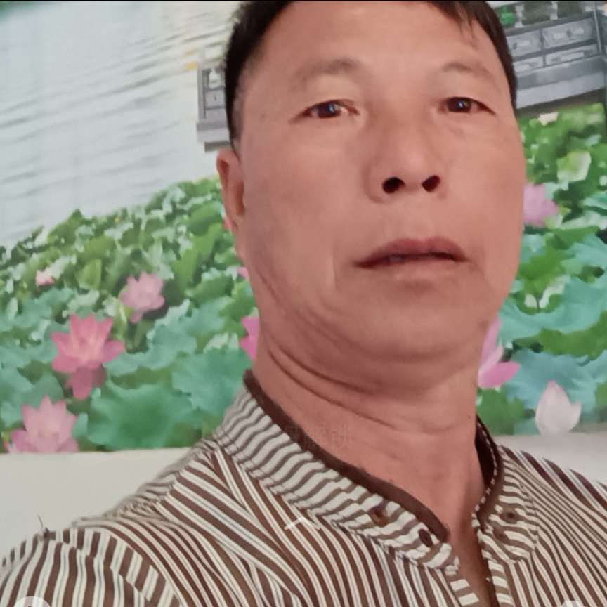 我愿和一切行走的照片