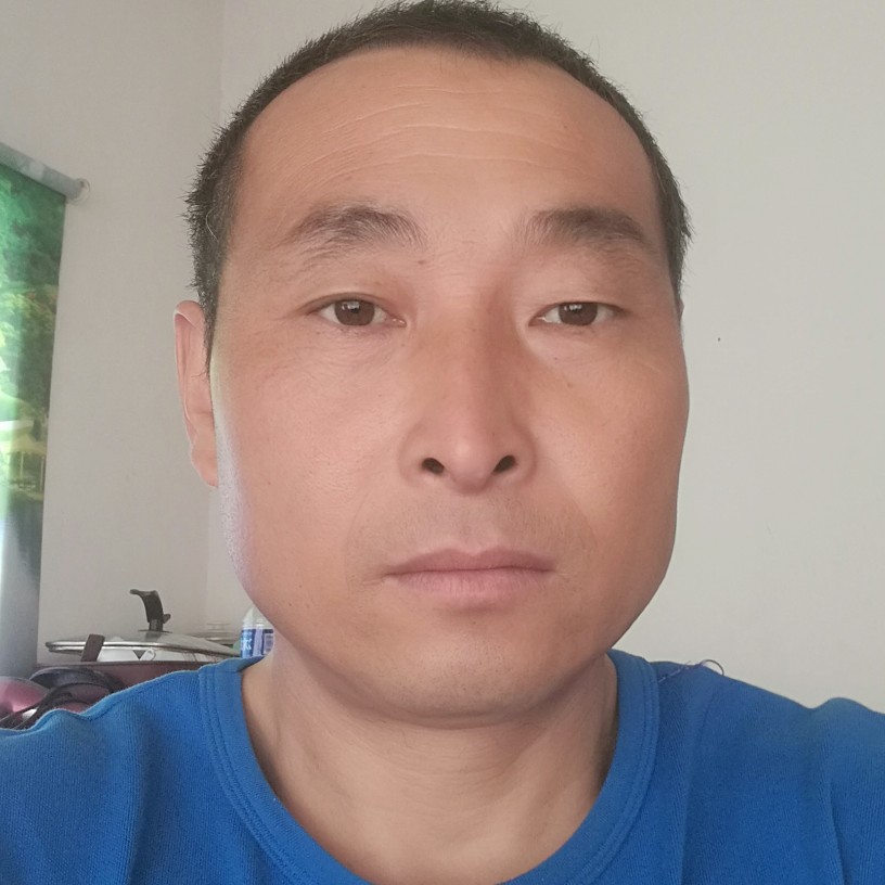 健康草莓的照片