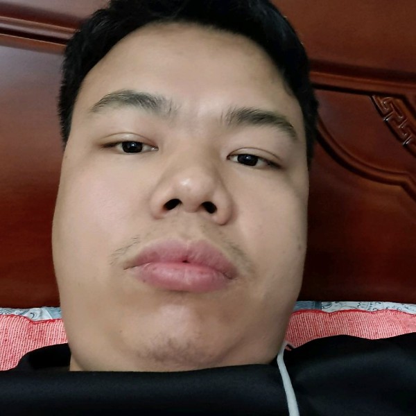 迷路向舒荷的照片