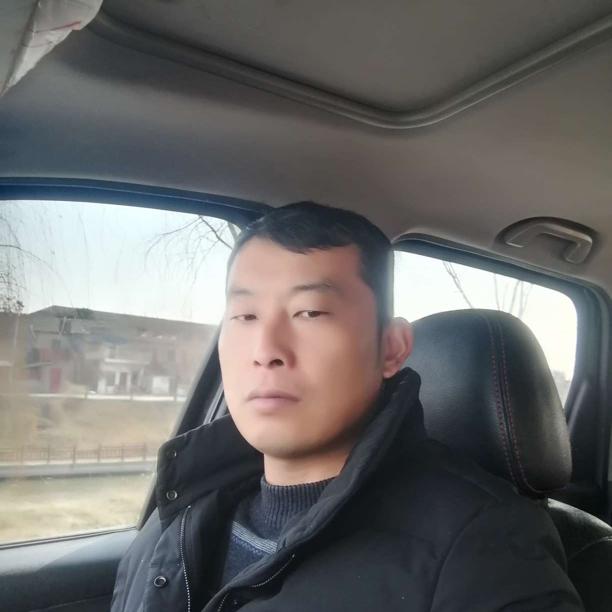 清秀回眸小懒猪的照片