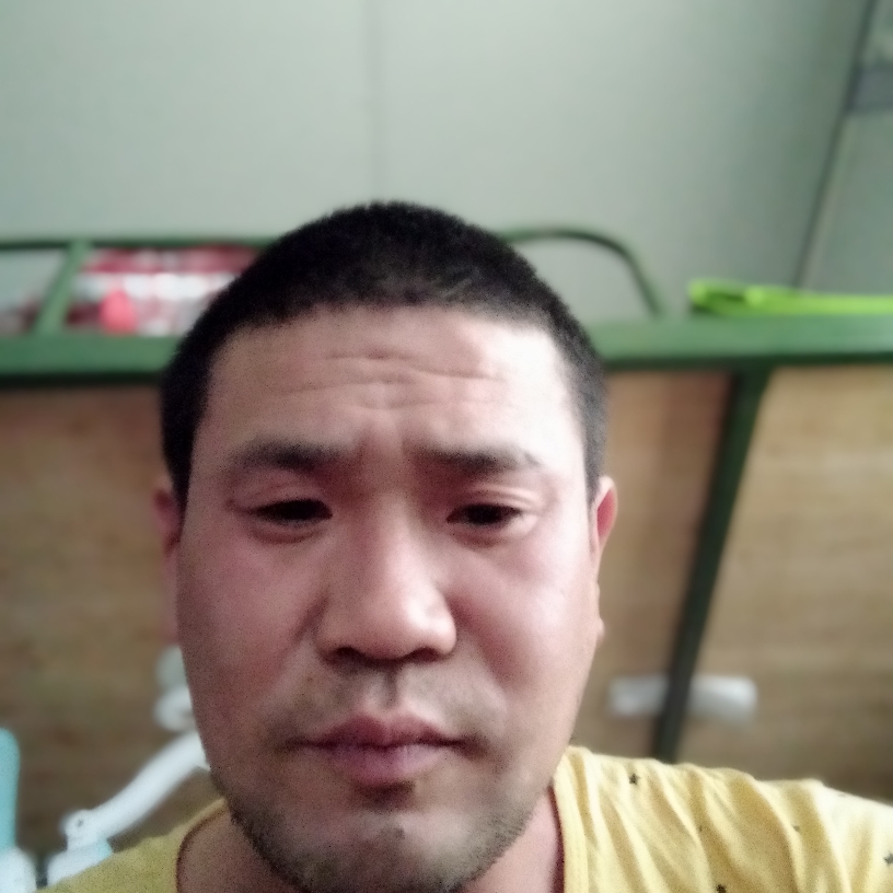 老迟到等于斑马的照片