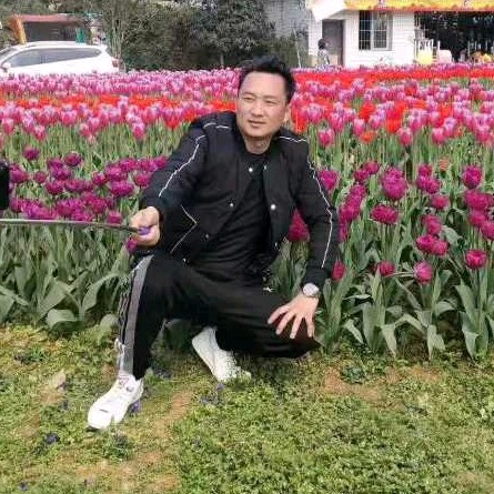 怡然蹙眉钢笔的照片